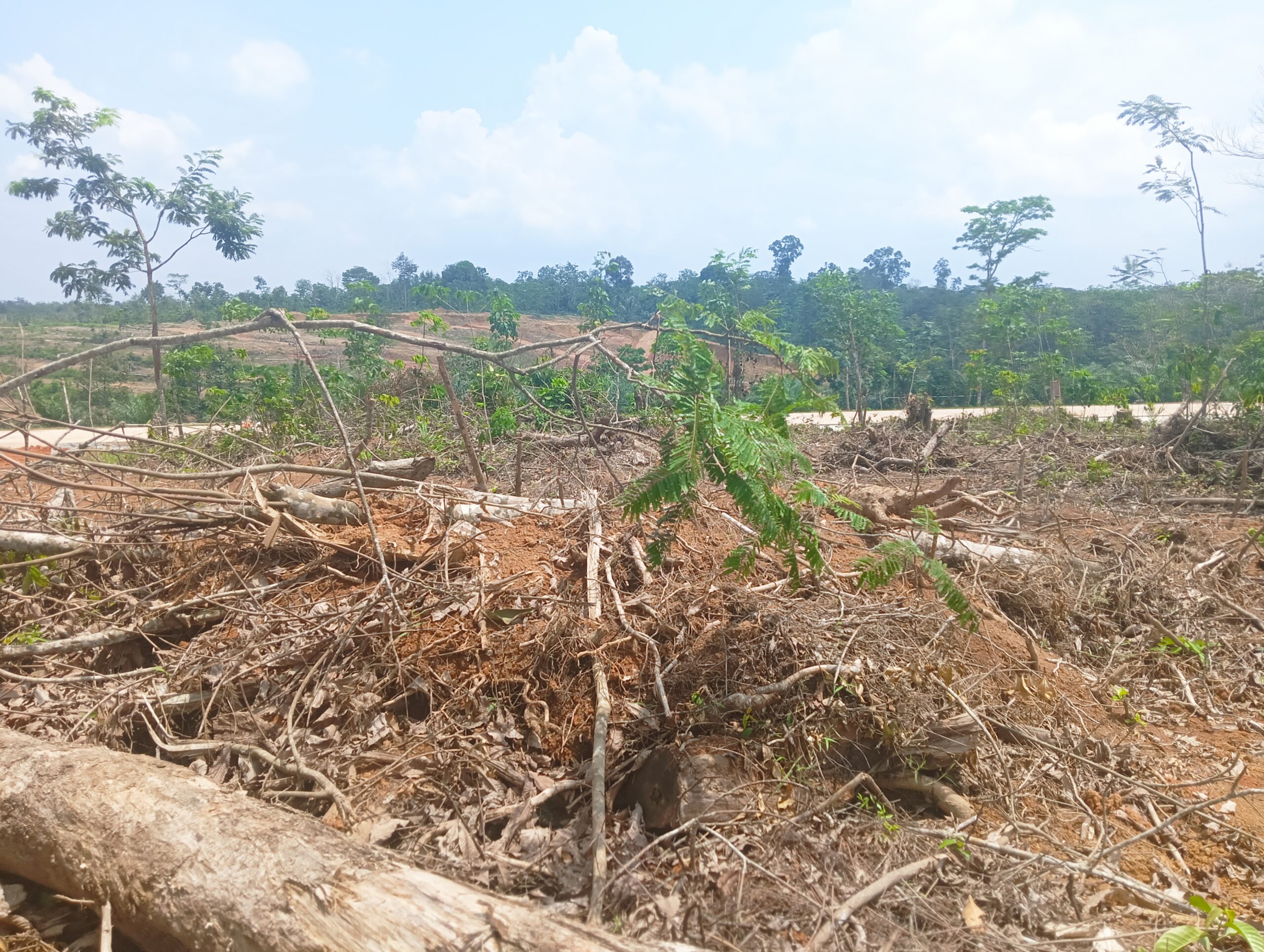 Subari Meminta Pertanggungjawaban Atas Kerusakan Pada Lahan Yang di Rusak Oleh Subkontraktor PT JJA (Jaluko Jaya Abadi) Dalam Proyek Jalan Tol Palembang-Jambi